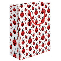 SHOPPER 31X45X12CM COCCINELLE