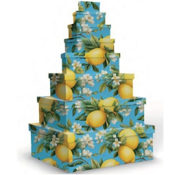 SCATOLE MATRIOSKA SET 8PZ DECORO LIMONI