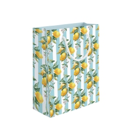 SHOPPER 31,5X12H45CM LIMONI F.RIGHE BIANCO CELESTE