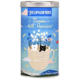 TISANE DELL'AMICIZIA     12 FILTRI DA 3GR LATTA