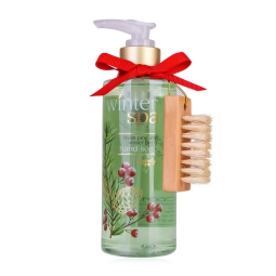 DISPENSER SAPONE MANI    WINTER SPA CON SPAZZOLA