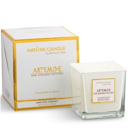 CANDELA 210GR LE DIVINE MORE MANDARINO NOTE VERDI