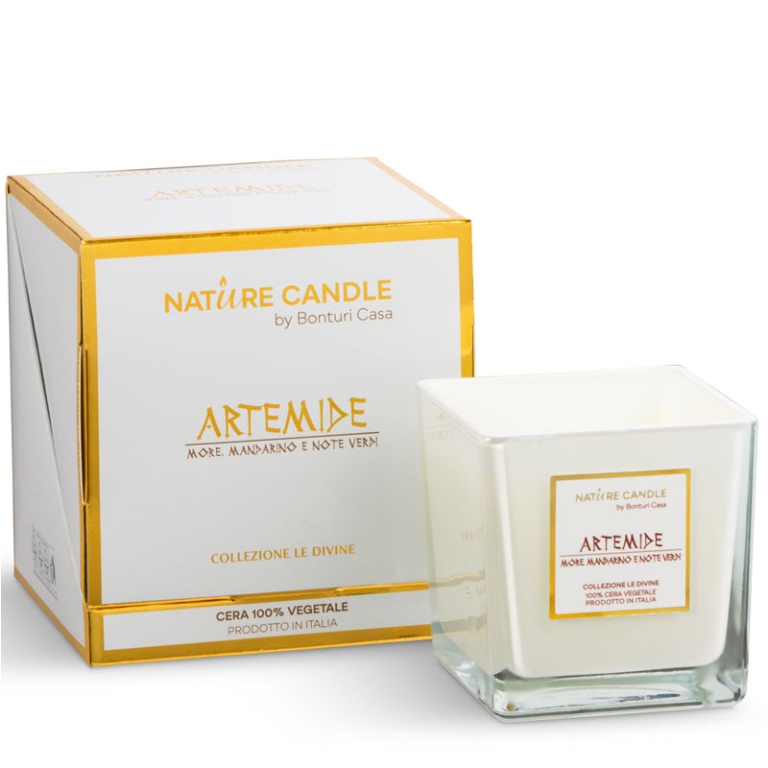 CANDELA 210GR LE DIVINE MORE MANDARINO NOTE VERDI