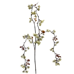 RAMO BACCHE H110CM CREMA
