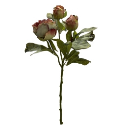 RAMO PEONIA SECCO ROSA