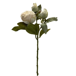 RAMO PEONIA SECCO CREMA