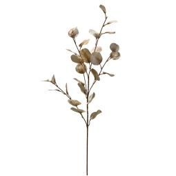 RAMO EUCALIPTO H87CM     CREMA