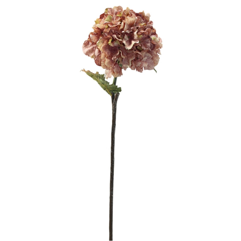 RAMO ORTENSIA ROSA