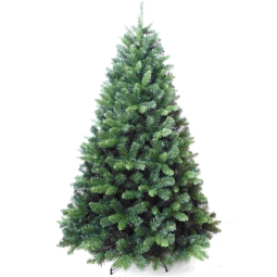 ALBERO BALTICO PINE      H210CM