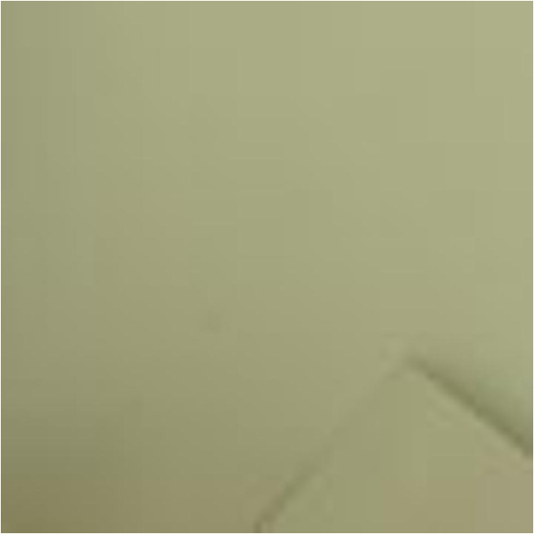 BOBINA H1X20MT PPL VELVET VERDE