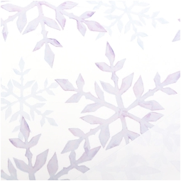 BOBINA PPL 100CMX25MT ICY 2 LATI BIANCO