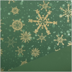 BOBINA PPL 100CMX25MT FIOCCO DI NEVE DOUBLE VERDE
