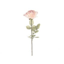 FIORE ROSA L72CM SFUMATO CREMA/ROSA