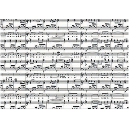 BUSTE CELLO 25X40CM 50PZ MELODIE NERO PANNA