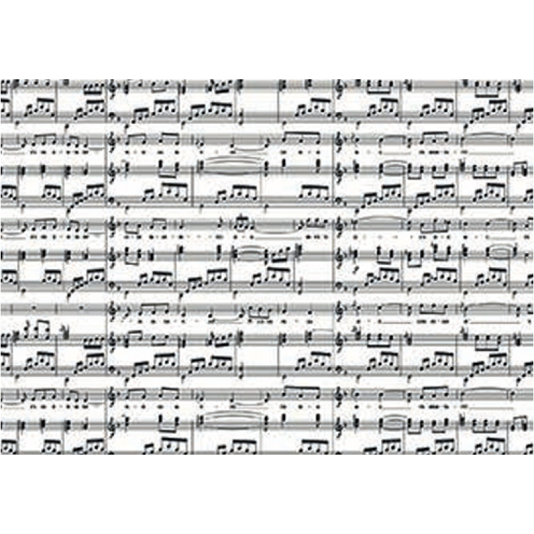 BUSTE CELLO 35X50CM 25PZ MELODIE NERO PANNA