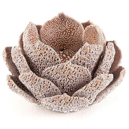 PORTACANDELA PIGNA SUGAR D12H8CM MARRONE