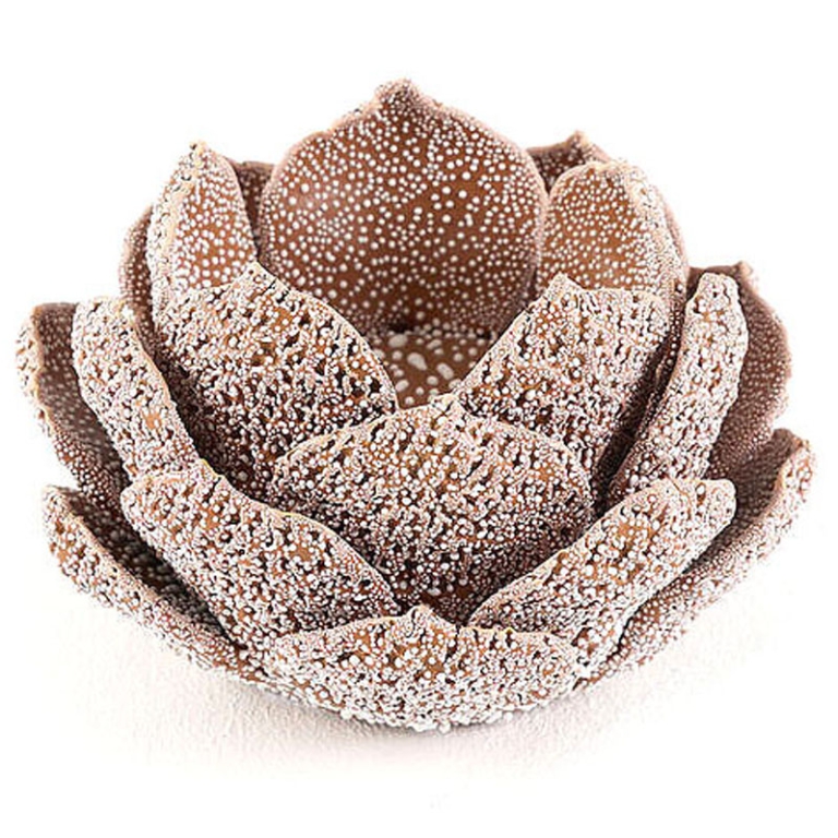 PORTACANDELA PIGNA SUGAR D12H8CM MARRONE