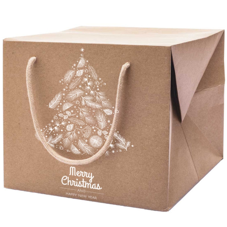 SHOPPER PANETTONE BOX    24X24X20CM KRAFT ALBERO
