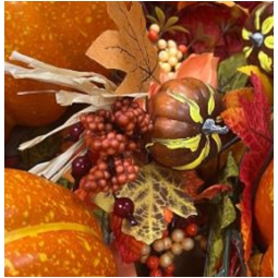 PICK FOGLIE E ZUCCA H19CM