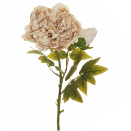 FIORE 58CM PEONIA CREMA  AUTUNNO 80-419576