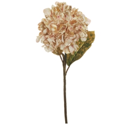 RAMO ORTENSIA H65CM      ROSA ANTICO