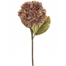 RAMO FIORE ORTENSIA H65CMROSA ANTICO SCURO