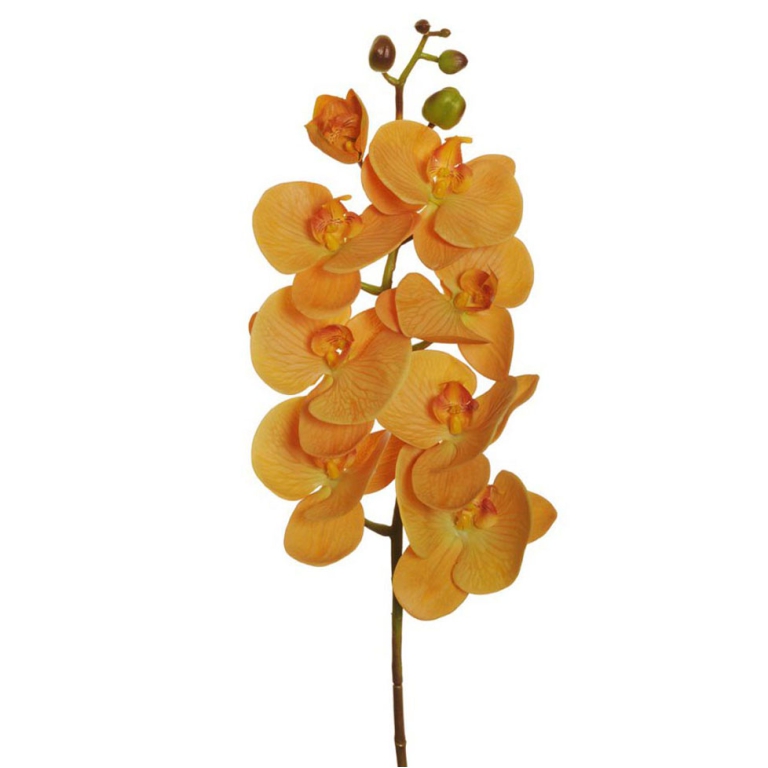 PICK H102CM ORCHIDEA 6 BOCCIOLI MOSTARDA 80-349163