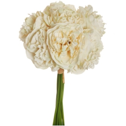 BOUQUET PEONIE H36CM     AVORIO