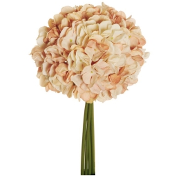 BOUQUET ORTENSIE H35CM   CREMA