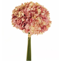 BOUQUET ORTENSIA H35CM   CREMA