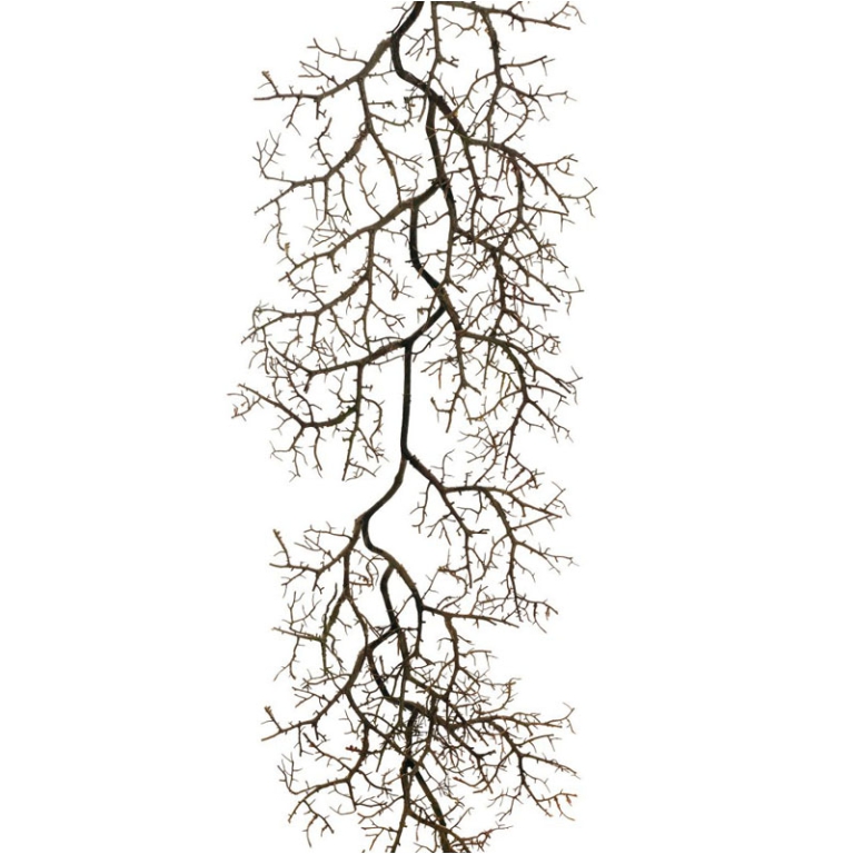 RAMO MANZANITA 150CM     MARRONE