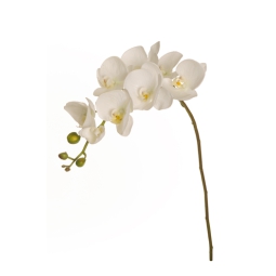 FIORE ORCHIDEA H102CM    BIANCA