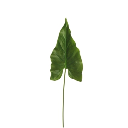 FIORE FOGLIE CALLA H83CM