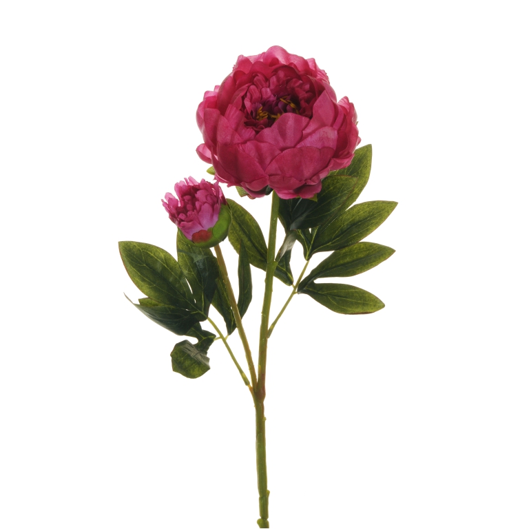 FIORE PEONIA RAMO H66CM  FUCSIA