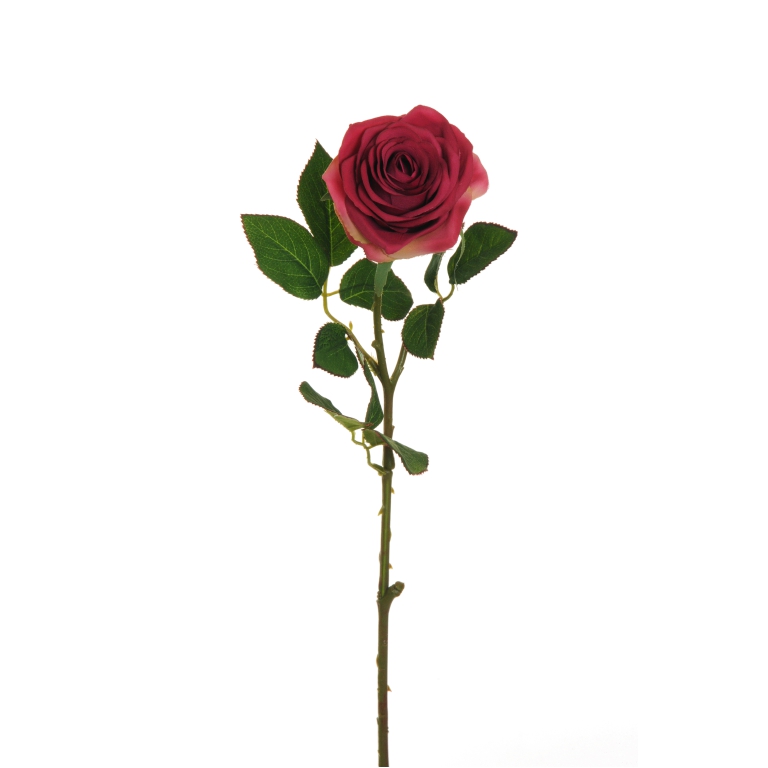 FIORE ROSA H65CM ECUADOR  FUCSIA