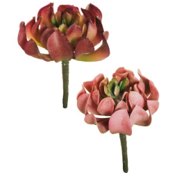 FIORE DI LOTO 6PZ D9H13CM COLORI ASSORTITI