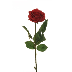 FIORE ROSA H65CM ECUADOR ROSSA
