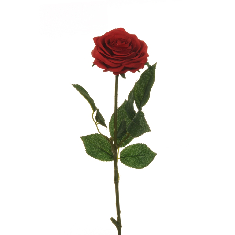 FIORE ROSA H65CM ECUADOR ROSSA