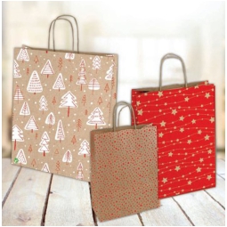 SHOPPER 18X8H20CM AVANA GREEN NATALE ASSORTITI