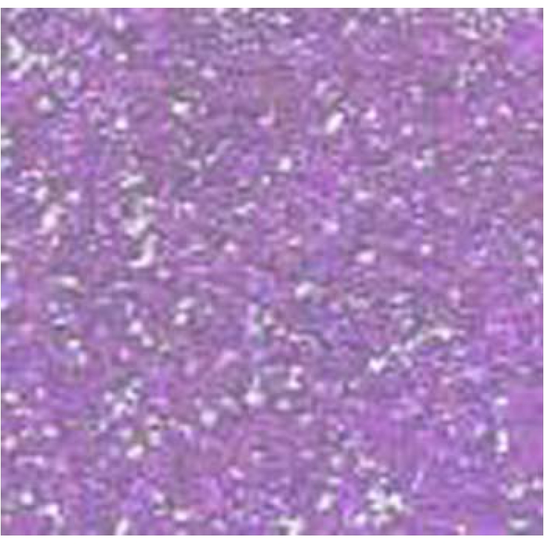 GLITTER 100GR LILLA IN   FLACONE 2