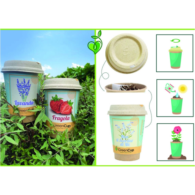 TAZZA MUG SEMI ASSORTITI