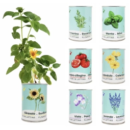 FIORI E PIANTINE IN LATTINA ASSORTITI
