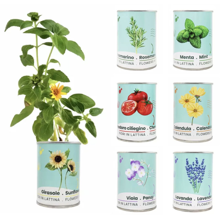 FIORI E PIANTINE IN LATTINA ASSORTITI