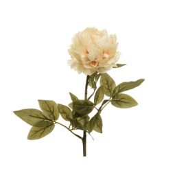 FIORE PEONIA L72CM CREMA