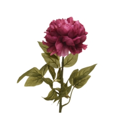 FIORE PEONIA H72CM FUCSIA