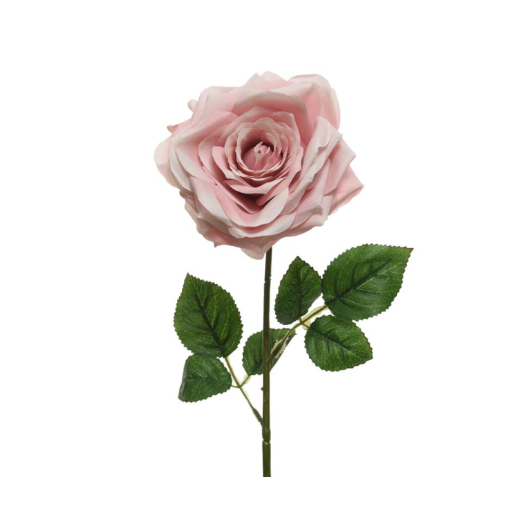 FIORE ROSA L53CM ROSA