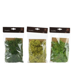 BUSTA LICHENI 50GR COLORI ASSORTITI