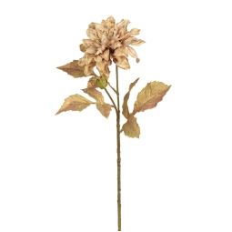 RAMO DALIA H68CM CREMA E ORO
