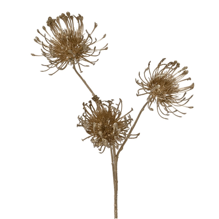 RAMO FIORE CARDO H75CM   CHAMPAGNE