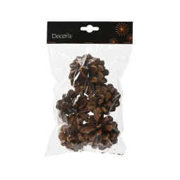 PIGNE NATURALI IN BUSTA  5PZ